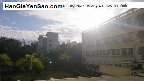 Tên Thương Hiệu [TAC] Trung tâm Giáo Dục T. Trà Vinh