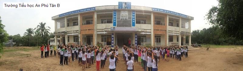 Trường Tiểu học An Phú Tân B
